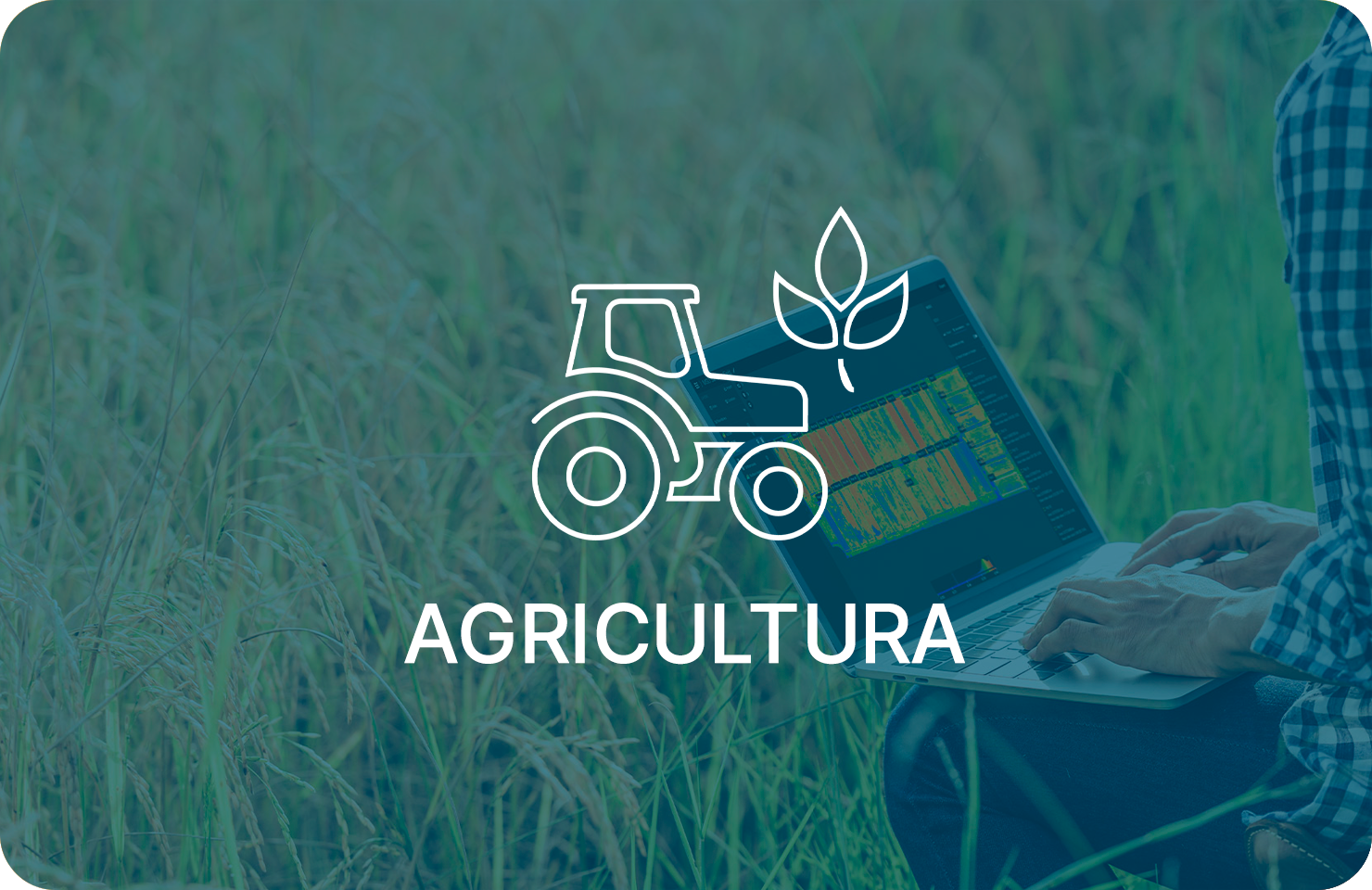 Agricultura